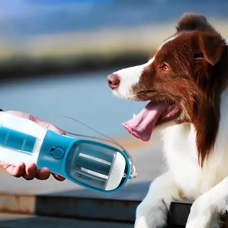3-in-1 Portable Pet Cups