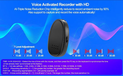 Miniature Voice Recorded
