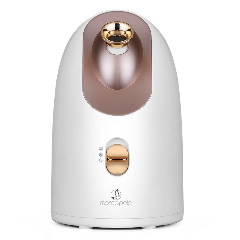 Face Steamer