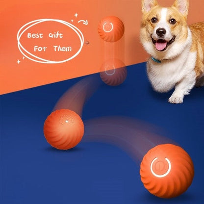 Pet Rubber Ball Toy