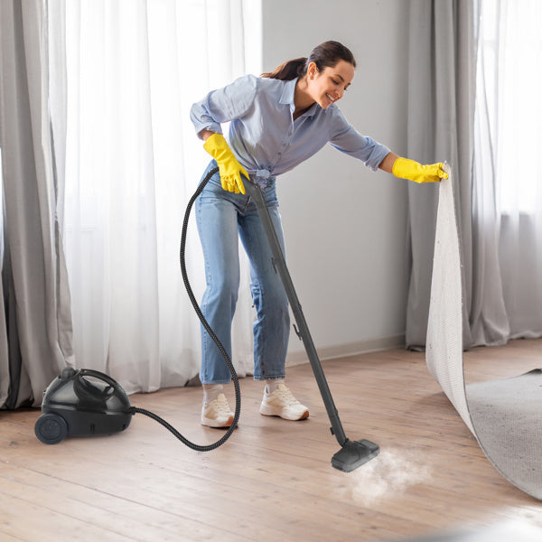 American Standard VSC28A Steam Cleaner