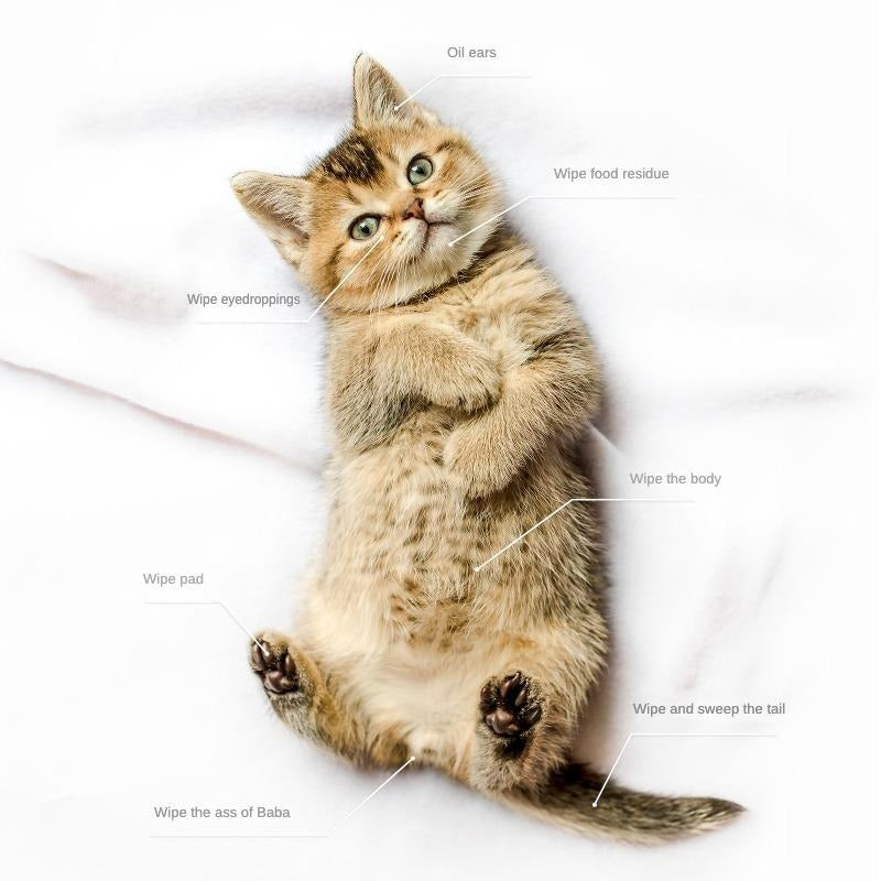 PET Cleaning  Deo. Bathing Wipes