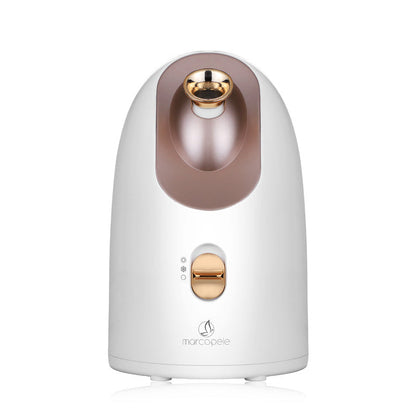 Face Steamer