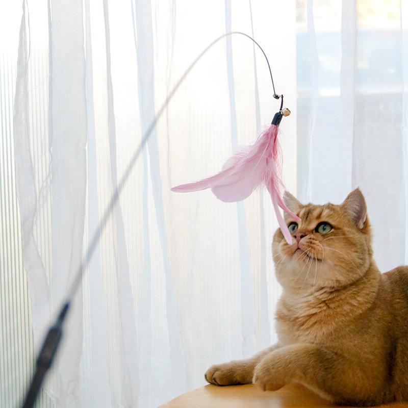 Cat Laser Teaser Wand